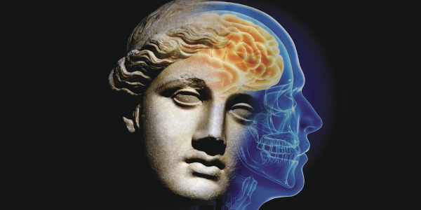 Neuroscience Is Ruining  the Humanities 1